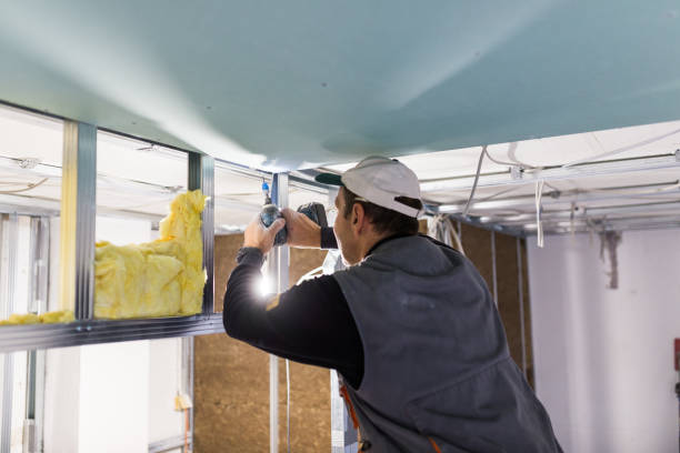 Best Garage Insulation  in USA